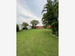 Terreno en venta en Burgos Bugambilias, Temixco — foto 3 de 6