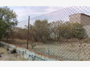 Terreno en venta en Noxtongo, Tepeji del Río de Ocampo — foto 3 de 6
