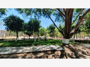 Terreno en venta en Nogueras, Comala — foto 2 de 8