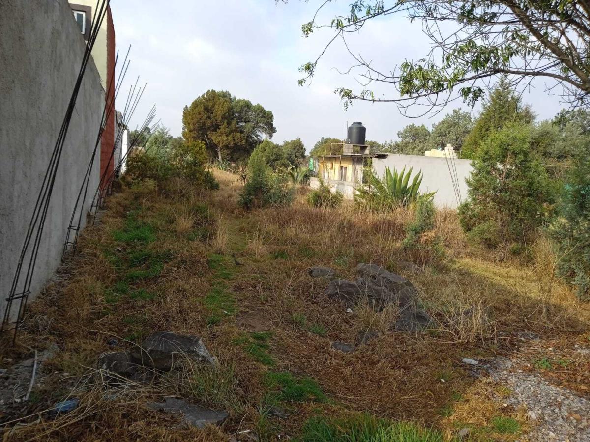 Terreno en venta en San Andres Ahuashuatepec, Tzompantepec — foto 1 de 2