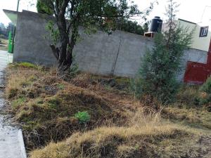 Terreno en venta en San Andres Ahuashuatepec, Tzompantepec — foto 2 de 2