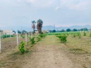 Terreno en venta en Oacalco, Yautepec — foto 3 de 8