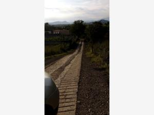 Terreno en venta en Tepetzingo, Emiliano Zapata — foto 2 de 15