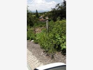 Terreno en venta en Tepetzingo, Emiliano Zapata — foto 3 de 15
