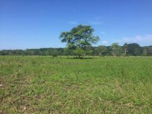 Terreno en venta en Norte 1ra. Sección (Buena Vista), Comalcalco — foto 3 de 12