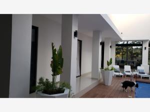 Casa en venta en Country Club Gran Jardín, León — foto 2 de 13
