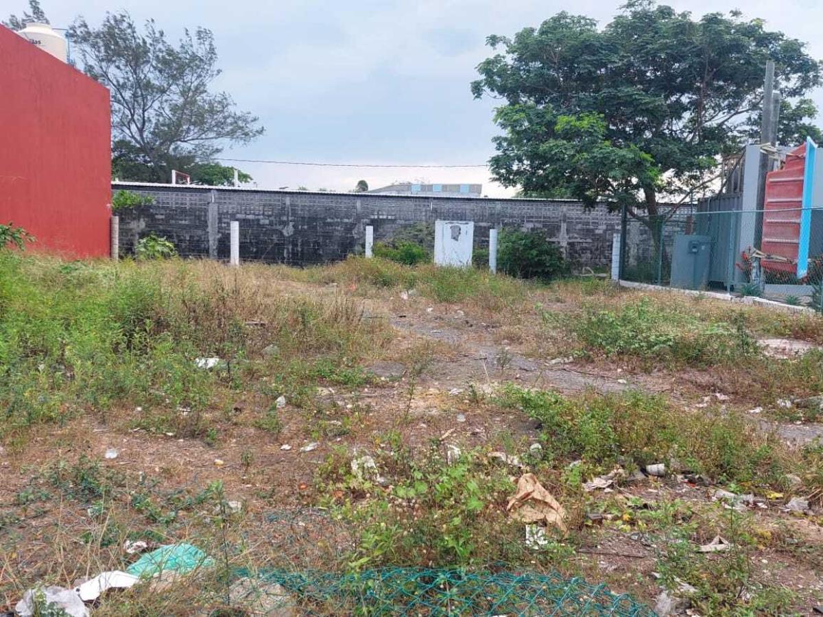 Terreno en renta en Pedro Ignacio Mata, Veracruz — foto 1 de 4