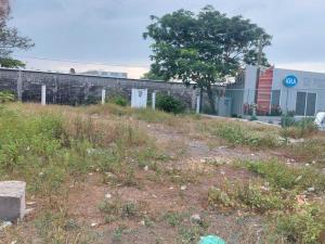 Terreno en renta en Pedro Ignacio Mata, Veracruz — foto 2 de 4