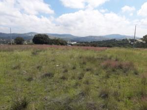 Terreno en venta en Álamos Haras, Puebla — foto 3 de 6
