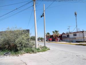 Terreno en renta en María Mercado de López Sánchez, Torreón, Coahuila de Zaragoza