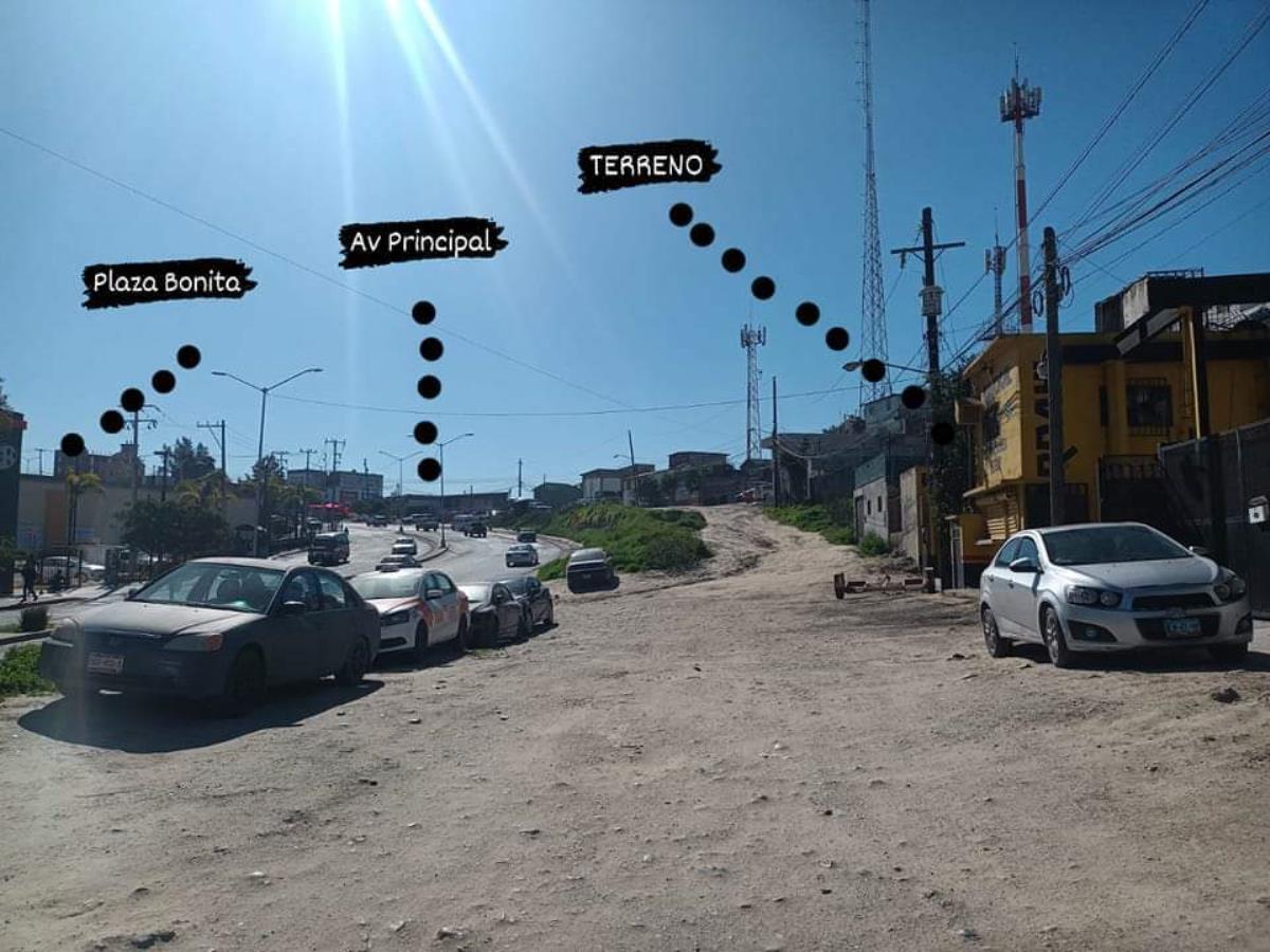 Imagen 3