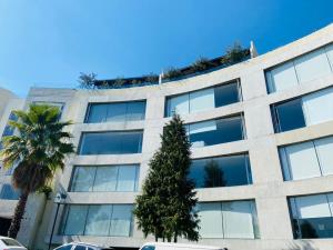 Departamento en renta en Santa Fe Cuajimalpa, Cuajimalpa de Morelos — foto 2 de 9