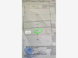 Terreno en venta en Las Palmas, Cuernavaca — foto 3 de 7