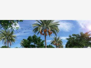 Terreno en venta en Cancún (Internacional de Cancún), Benito Juárez — foto 2 de 36