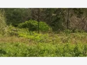 Terreno en venta en Costa del Mar, Benito Juárez — foto 3 de 32