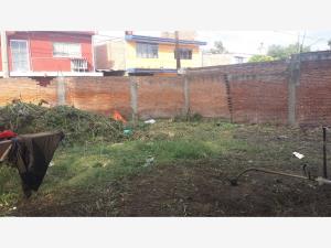 Terreno en venta en Momoxpan, San Pedro Cholula — foto 3 de 4