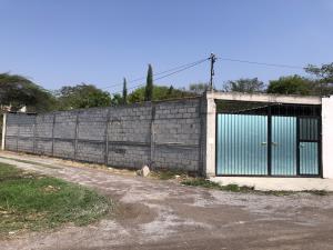 Casa en venta en Ampliación Nicolás Bravo, Jojutla — foto 3 de 20