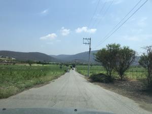 Finca-Rancho en venta en La Mezquitera (El Astillero), Tlaquiltenango — foto 3 de 10
