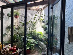 Casa en venta en Cuadrante de San Francisco, Coyoacán — foto 3 de 16