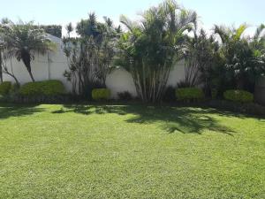 Casa en renta en Ahuatepec, Cuernavaca — foto 3 de 12