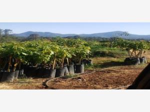Terreno en venta en San Pedro, Morelia — foto 3 de 5