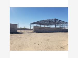 Bodega en venta en Parque Industrial, San Luis Río Colorado — foto 3 de 4
