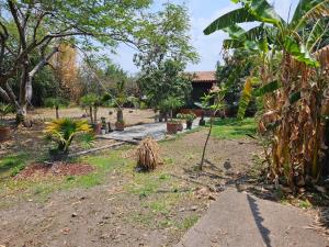 Terreno en venta en San Francisco Texcalpa, Jiutepec — foto 2 de 47