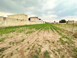 Terreno en venta en Santa Ana Tlapaltitlan, Toluca — foto 2 de 7