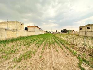 Terreno en venta en Santa Ana Tlapaltitlan, Toluca — foto 3 de 7