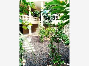 Casa en venta en Cuauchiles, Jiutepec, Morelos Casa en venta en Cuauchiles, Jiutepec, Morelos