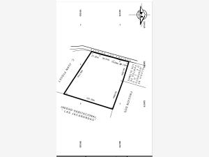 Terreno en venta en Los Encinos, Cosoleacaque — foto 2 de 3