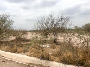 Terreno en venta en Las Huertas, Gómez Palacio — foto 3 de 7