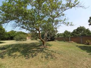 Terreno en venta en Las Animas, Temixco — foto 2 de 9