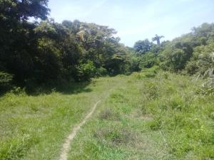 Terreno en venta en Anton Lizardo, Alvarado — foto 2 de 19