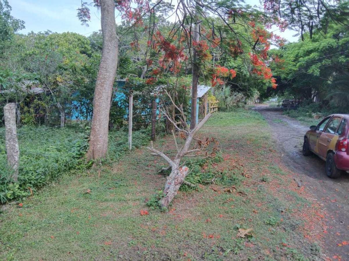 Terreno en venta en La Aguada, Alvarado — foto 1 de 5