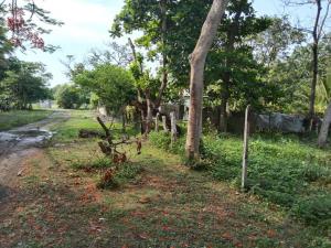 Terreno en venta en La Aguada, Alvarado — foto 2 de 5