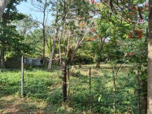 Terreno en venta en La Aguada, Alvarado — foto 3 de 5