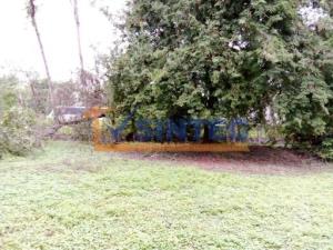Terreno en venta en Santa Cecilia, Papantla, Veracruz de Ignacio de la Llave Terreno en venta en Santa Cecilia, Papantla, Veracruz de Ignacio de la Llave