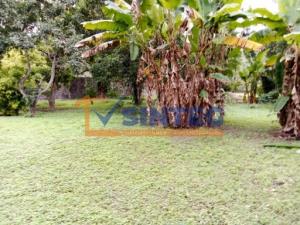 Terreno en venta en Santa Cecilia, Papantla — foto 3 de 8