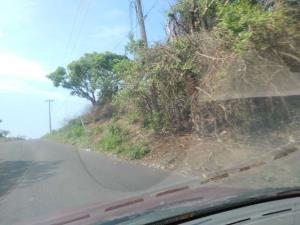 Terreno en venta en La Aguada, Alvarado — foto 3 de 8