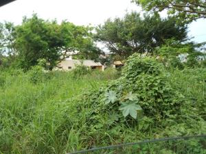 Terreno en venta en Anton Lizardo, Alvarado — foto 3 de 3