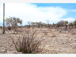 Terreno en venta en Buenavista (San Miguel), Lagos de Moreno — foto 2 de 3