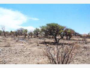 Terreno en venta en Buenavista (San Miguel), Lagos de Moreno — foto 3 de 3