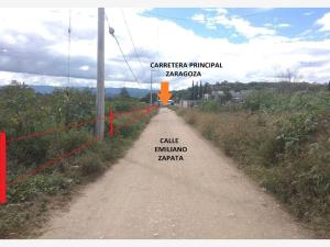 Terreno en venta en Santo Domingo Barrio Bajo, Villa de Etla — foto 3 de 14