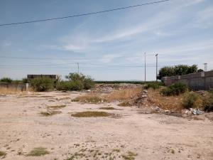 Terreno en venta en Diez de Abril (El Queso), Torreón — foto 3 de 4