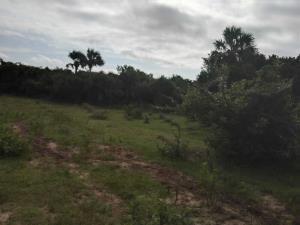 Terreno en venta en Medellín, Medellín de Bravo — foto 2 de 18