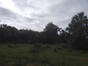 Terreno en venta en Medellín, Medellín de Bravo — foto 3 de 18