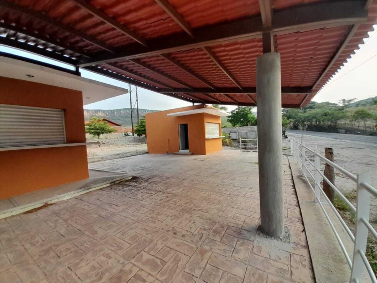 Imagen 5