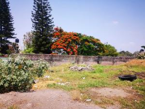 Terreno en venta en Otilio Montaño, Cuautla — foto 2 de 5