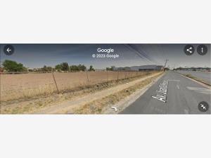 Terreno en renta en San Francisco Tesistán, Zapopan — foto 3 de 14